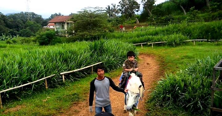 Destinasi Wisata Keluarga Ramah Anak Kuntum Farm Field