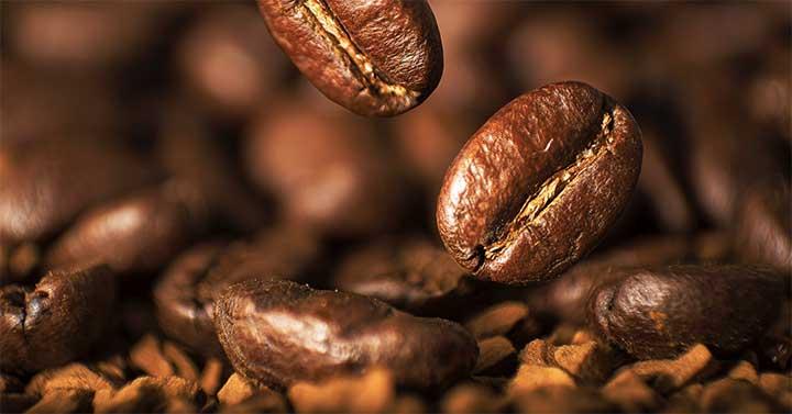 biji kopi robusta terbaik 4707